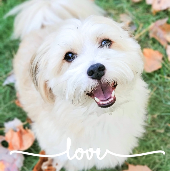 Meet your Posher, Tracy - Picture 1 of 1